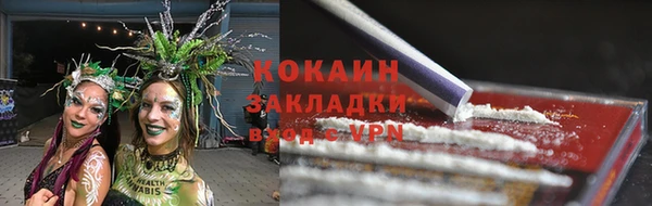 бошки Аркадак