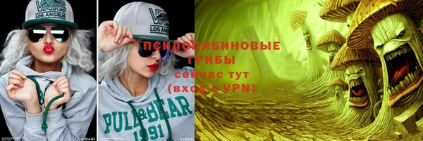 прущие грибы Алзамай