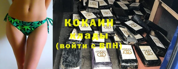 прущие грибы Алзамай