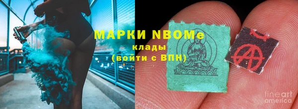 прущие грибы Алзамай