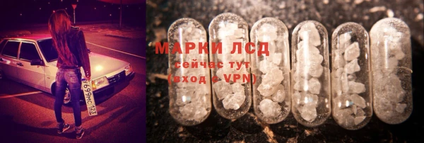 прущие грибы Алзамай