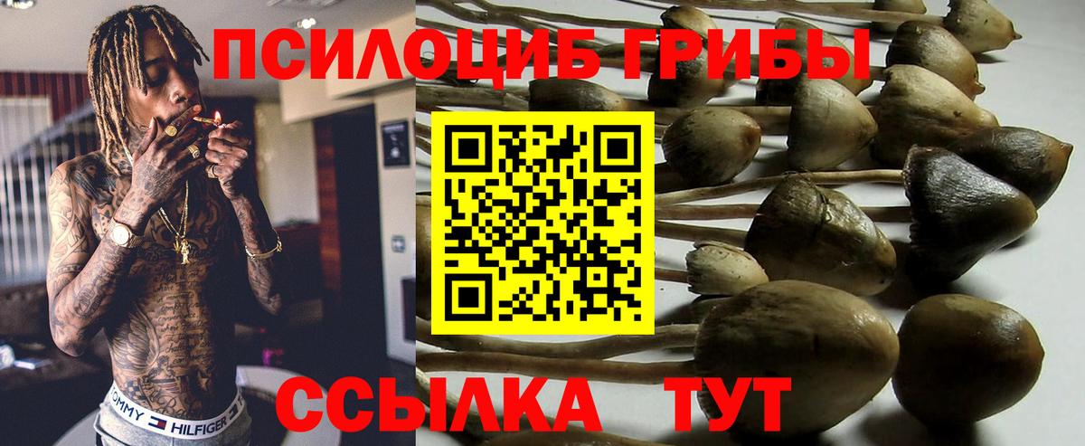 Галлюциногенные грибы ЛСД Добрянка