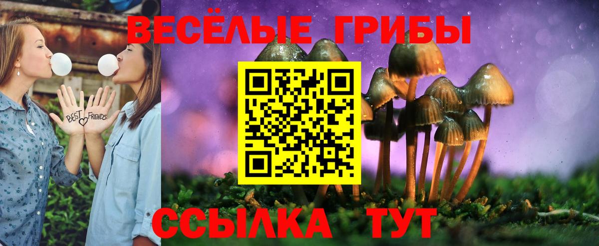 Добрянка  Псилоцибиновые грибы GOLDEN TEACHER  Вход с VPN 